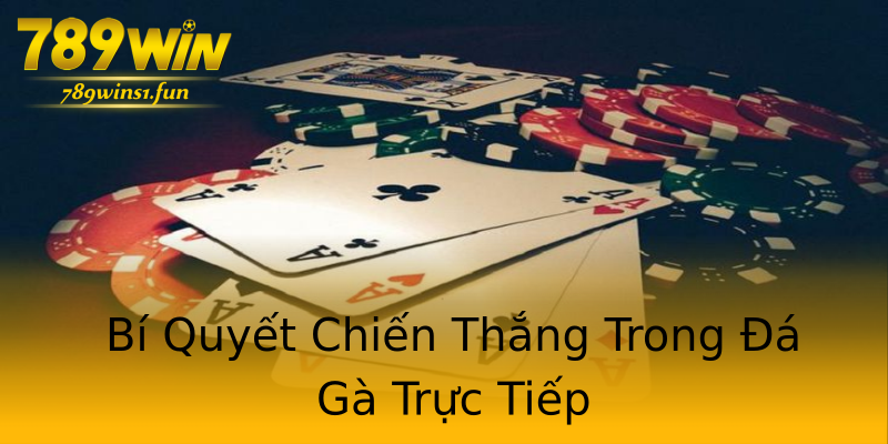Bí Quyết Chiến Thắng Trong Đá Gà Trực Tiếp Bí Quyết Chiến Thắng Trong Đá Gà Trực Tiếp