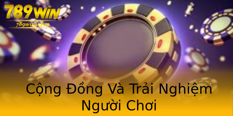 Cộng Đồng Và Trải Nghiệm Người Chơi Cộng Đồng Và Trải Nghiệm Người Chơi