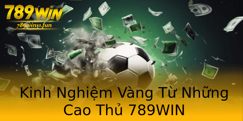 Kinh Nghiệm Vàng Từ Những Cao Thủ 789WIN Kinh Nghiệm Vàng Từ Những Cao Thủ 789WIN