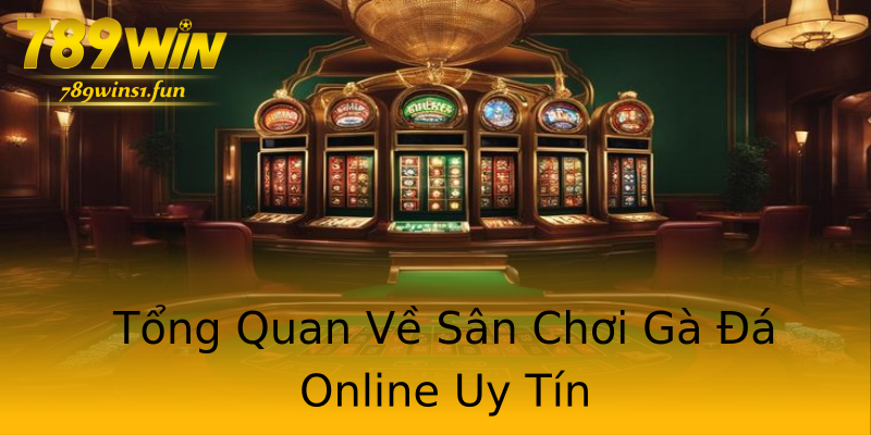 Tổng Quan Về Sân Chơi Gà Đá Online Uy Tín Tổng Quan Về Sân Chơi Gà Đá Online Uy Tín