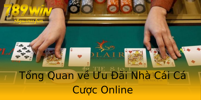 Tổng Quan về Ưu Đãi Nhà Cái Cá Cược Online Tổng Quan về Ưu Đãi Nhà Cái Cá Cược Online